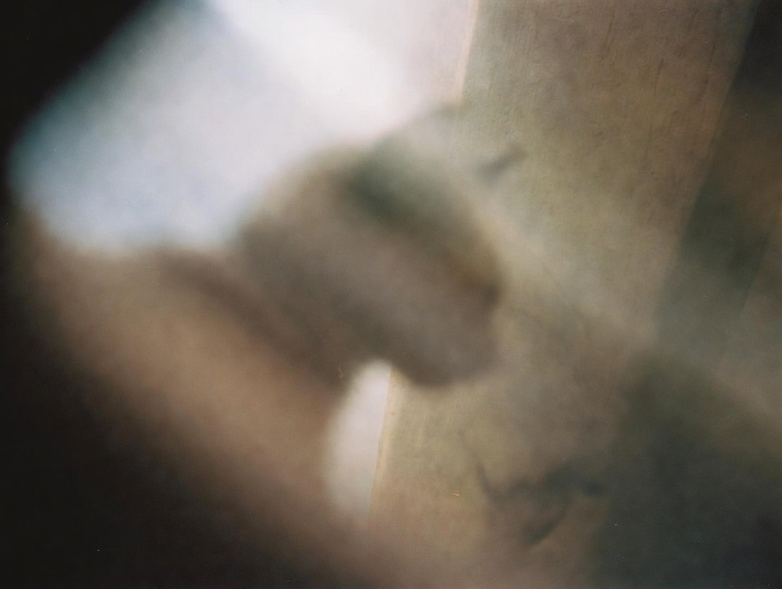 猫——知性、言語、進化