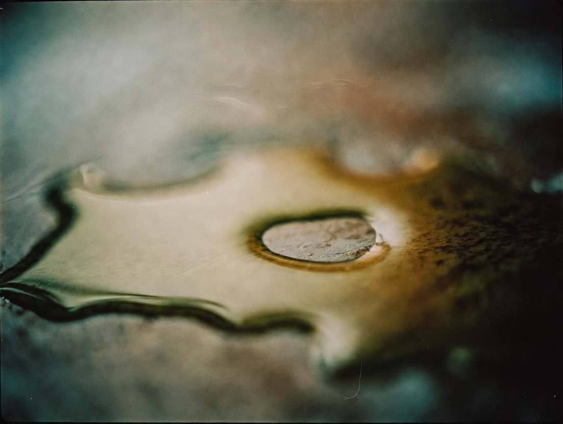 エクストラバージンオリーブオイル